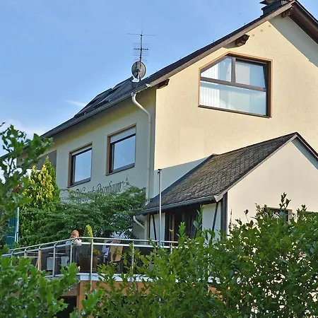 Homestay Weingut Rosenbaum Briedel