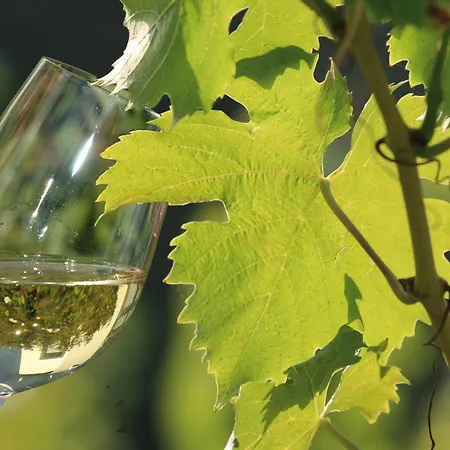 Weingut Rosenbaum