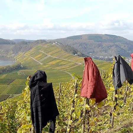 Homestay Weingut Rosenbaum
