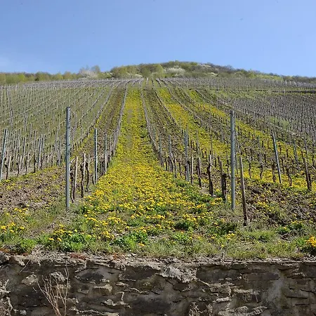 Weingut Rosenbaum