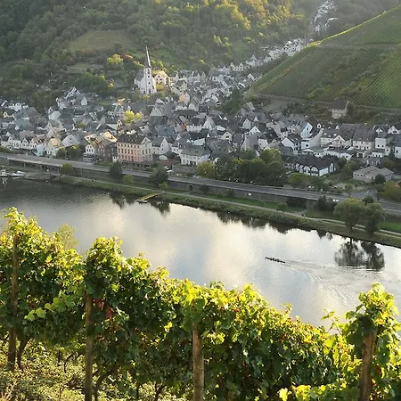 Weingut Rosenbaum Homestay Briedel