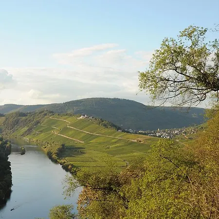 Weingut Rosenbaum *