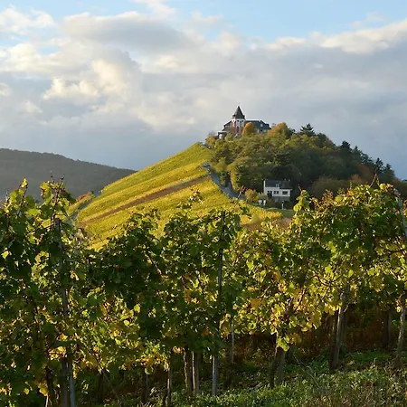 Weingut Rosenbaum *