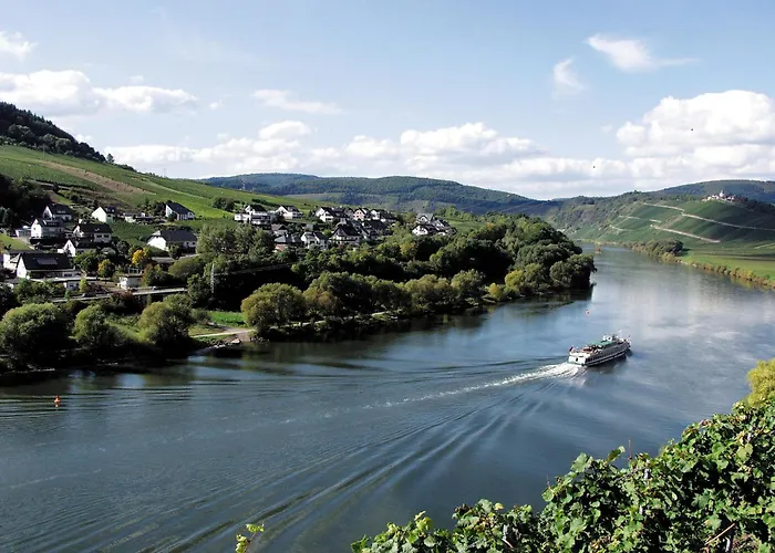 Homestay Weingut Rosenbaum Briedel