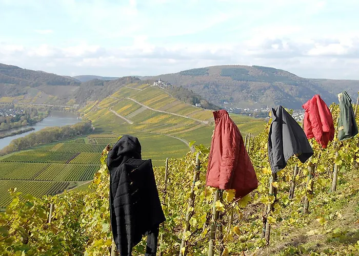 Rum i privatbostad Weingut Rosenbaum