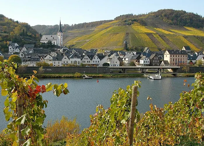 Weingut Rosenbaum Briedel