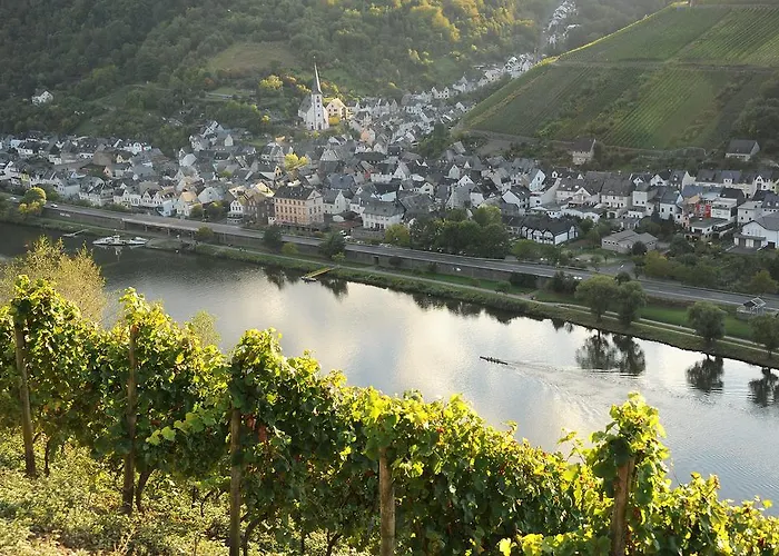 Weingut Rosenbaum Rum i privatbostad Briedel